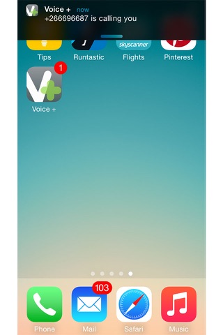 Voice + screenshot 3