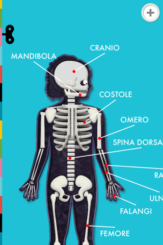 The Human Body by Tinybop screenshot 3