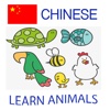 Learn Animals in Chinese Language