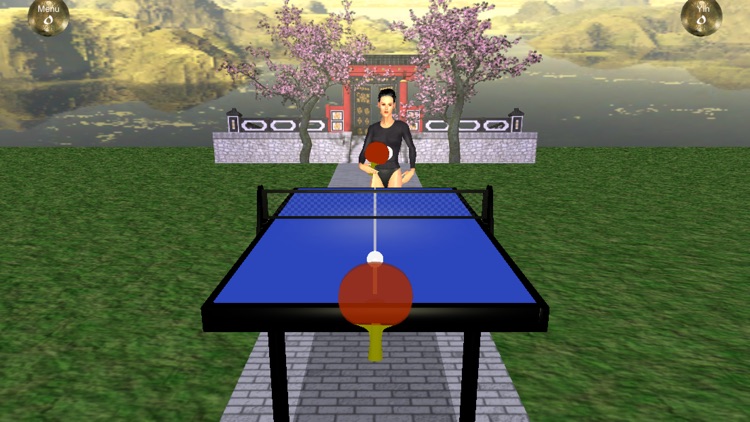Zen Table Tennis