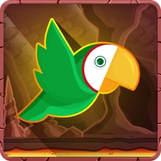 Activities of Super Parrot -The Adventure of a Tiny Bird Parrot