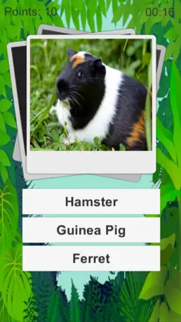 Game screenshot Animal Quiz Kids apk