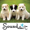 Animal Sounds Epic Book