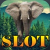 Elephant Africa Free Poker Slots Machine in Vegas Casino Game