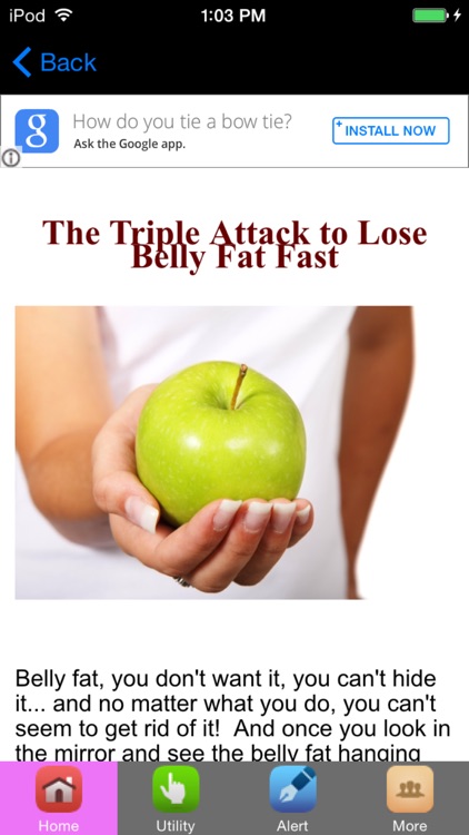 How To Lose Fat & Get Fit Fast