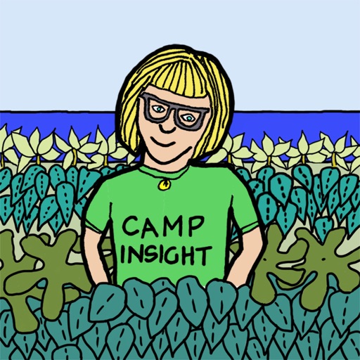 Camp Insight Icon