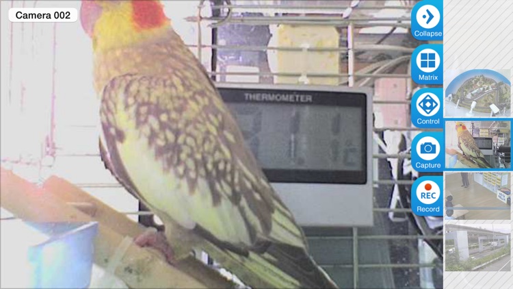 Foscam IP Camera Viewer