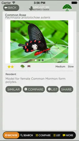Game screenshot Butterflies of Singapore (NSS) hack
