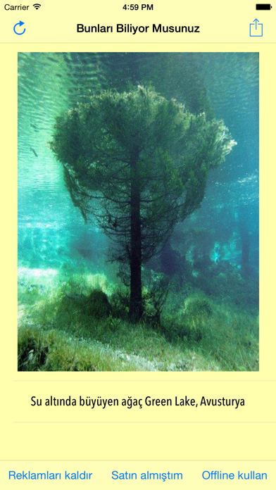 Screenshot #1 pour Bunları Biliyor Musunuz