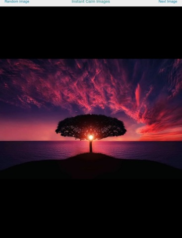 Instant Calming and Relaxing Images