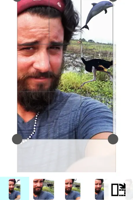 Selfie Photobombs Free