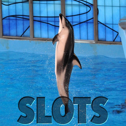 White Side Of The Pacific Dolphin Slots - FREE Edition King of Las Vegas Casino icon