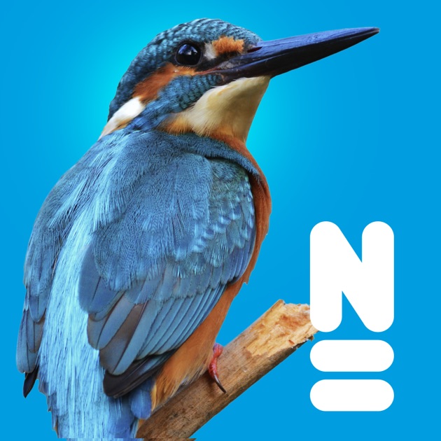 Europa App Europa App