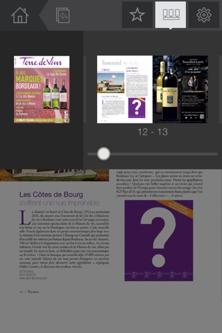 Terre de Vins screenshot 4