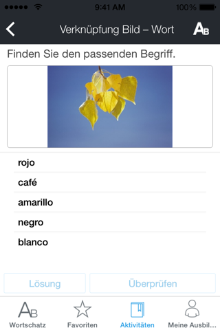 Rosetta Stone Spanish (Latin America) Vocabulary screenshot 2