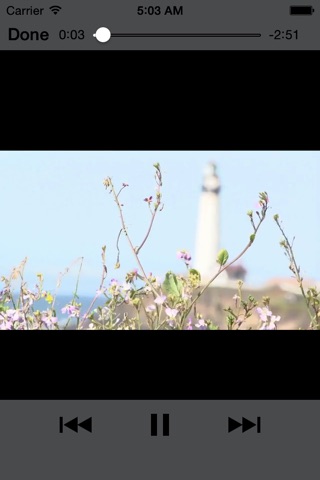 Vidpal screenshot 3