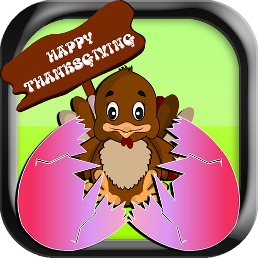 Turkey Egg Care icon