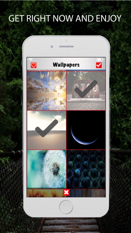 Wallpapers HD 50000+(Daily Updated)