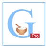 GPATOnline Pro Edition