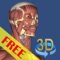 A true and totally 3D free app for studying human anatomy, built on an advanced interactive 3D touch interface