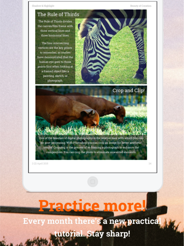 Shadow & Highlight A new magazine about Photoshop, photography, photo editing and graphical design iPad screenshot 4 - Book app