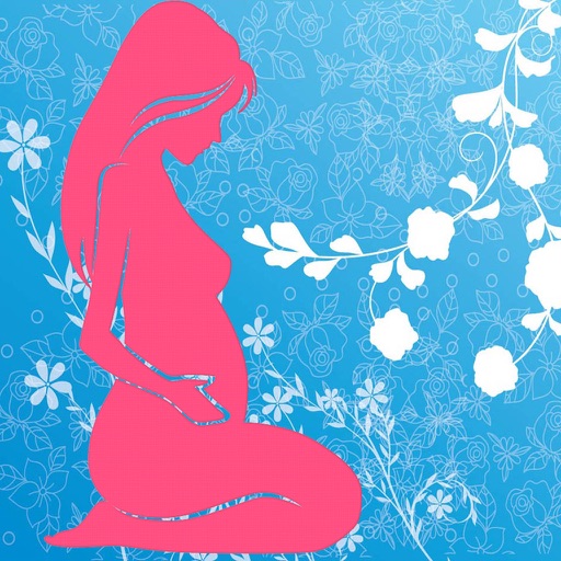 Справочник беременности icon