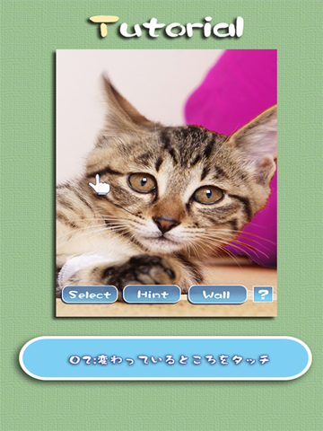 Screenshot #5 pour Aha-Experience Landscapes of the cat