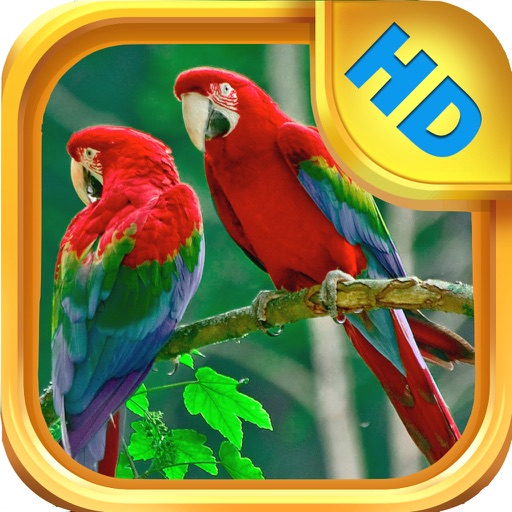 The Bird Book - an Interactive Storybook for Children