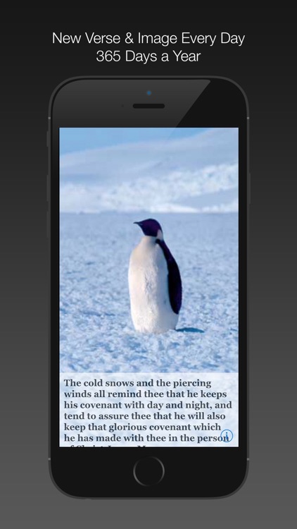 Spurgeon Daily Quotes screenshot-3