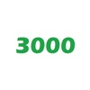 3000