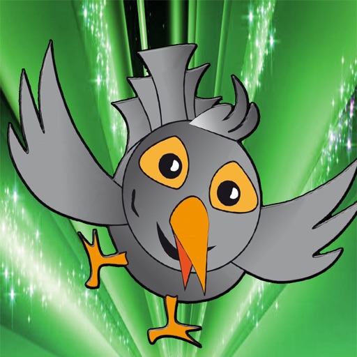 Timed Bird Fun Matching - Addictive Birds Connect Mania icon