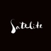 Satelite Magazine