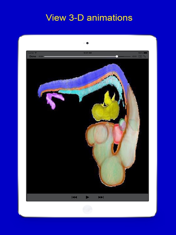 Dimensional Embryology screenshot-3