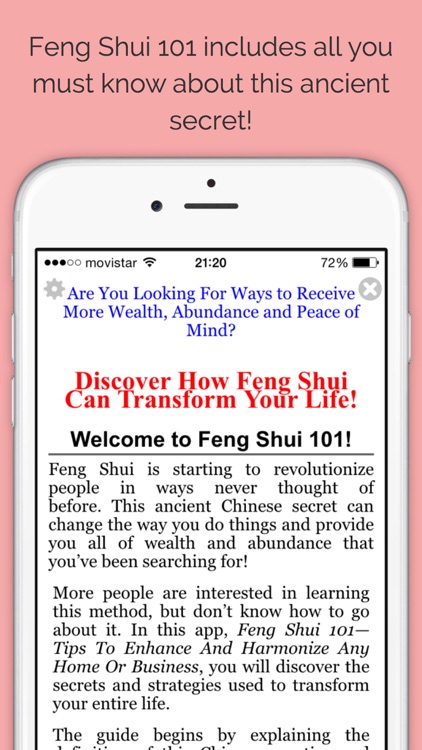 Feng Shui 101 - Pro Edition