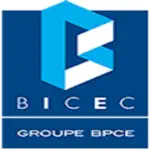 BICEC Mobile-Banking App Cancel