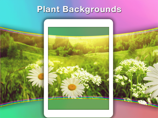 FexyPano - Panorama Wallpapers iPad screenshot 4 - Photo & Video app