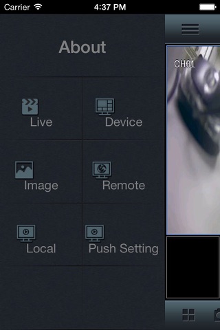 AVEESA Business Support Remote