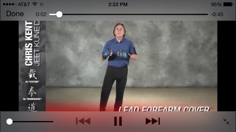 Jeet Kune Do screenshot-3