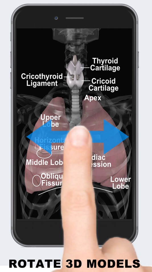 #2. Anatomy 3D - Organs (iOS) 由: Real Bodywork