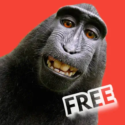 Selfie Photobombs Free Читы