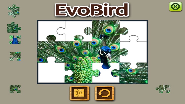 EVO BIRD - Augmented Reality screenshot-4
