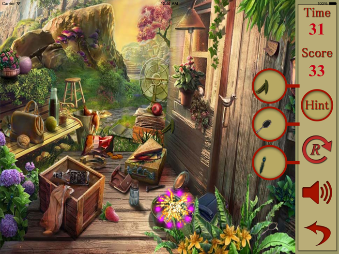 Hidden Objects Gardens