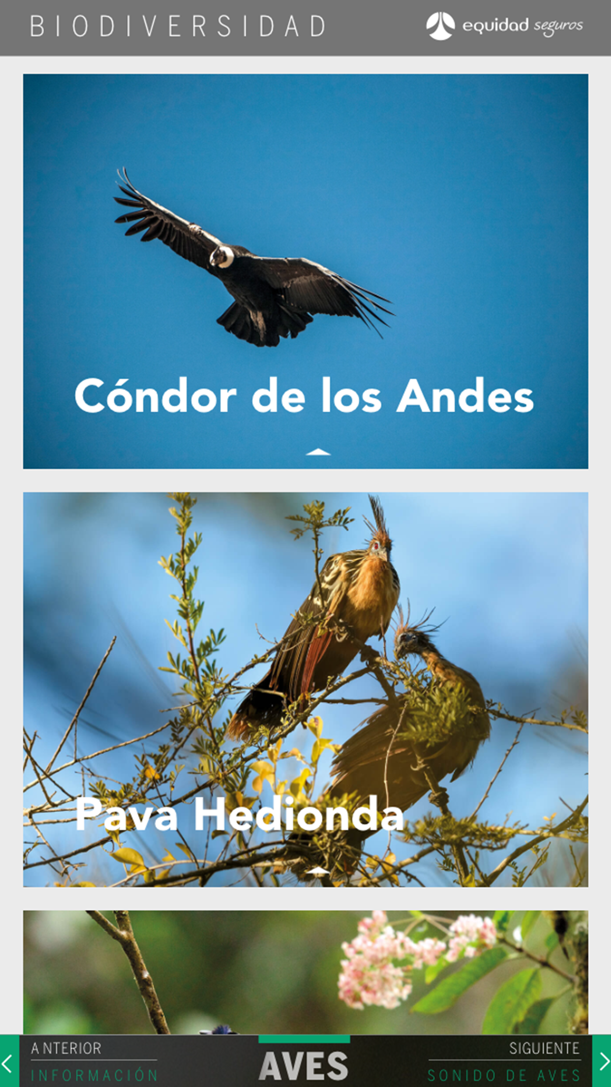 Colombia, Paraíso de la Biodiversidad.