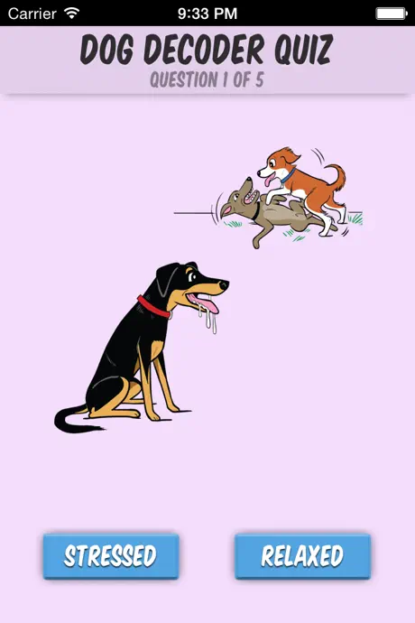 Dog Decoder