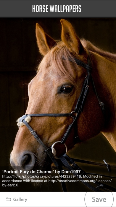 Screenshot #3 pour Horse Wallpapers!