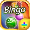 Bingo Book PLUS - Play Online Casino and Daub the Card Game for FREE !