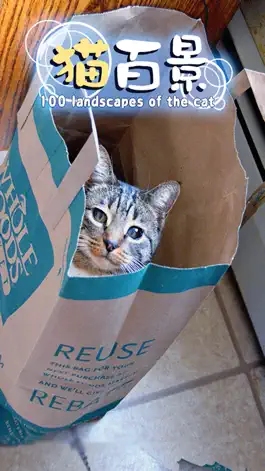 Game screenshot Aha-Experience Landscapes of the cat mod apk