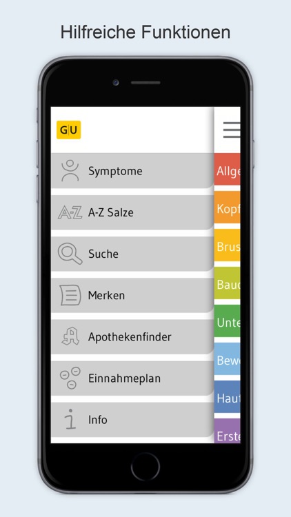 Schüßler-Salze - über 350 Beschwerden erkennen und behandeln
