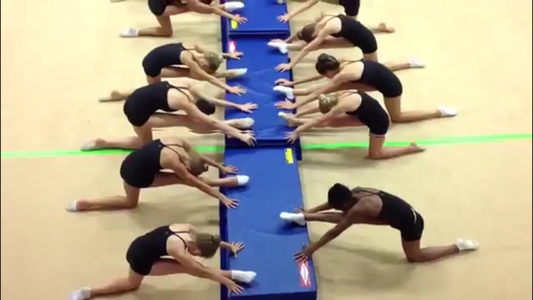 Gymnastics Master Class screenshot-4