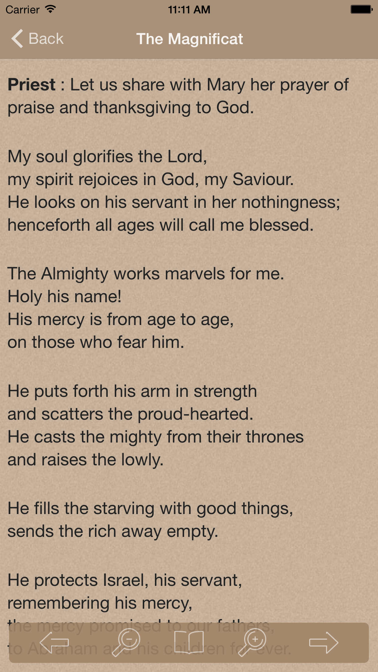 Novena to Our Lady of Perpetual Help screenshot 3
